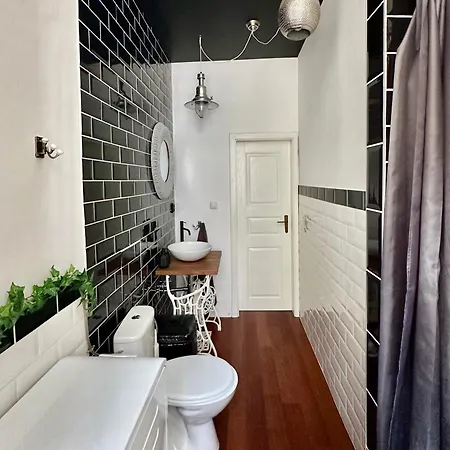 Central Historic Apartment In Old Town Swetlikov Dom Apartmán Bratislava